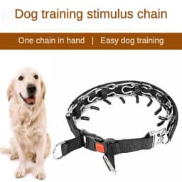 Dog Stimulating Chain Training Collar Stainless Steel Barbed Neck Collar Pet P Chain Medium Large Dog DropShipping Control Dog