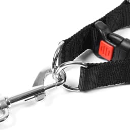 Dog Stimulating Chain Training Collar Stainless Steel Barbed Neck Collar Pet P Chain Medium Large Dog DropShipping Control Dog