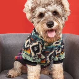 Totems Print Puppy Dog Sweater for Small Dogs Winter Warm Pet Hoodie Clothes Poodle Schnauzer Bichon Pullovers Mascotas Clothing