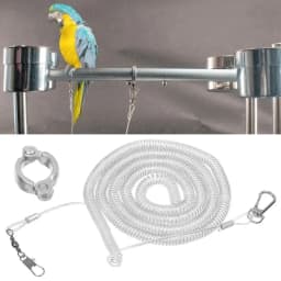 Hot Harness Macaw Flying Training Leash Ultra-light Flexible Rope Anti-bite Leg Ring Parrot Bird