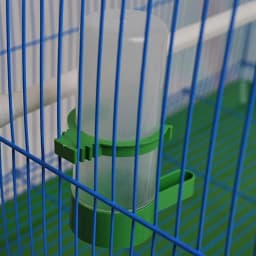 4 Pcs / Lot Bird Feeder Waterer Drinker Pet Clip for Bird Feeder Agricultural Equipment (size:M)
