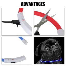 Dog Loss Prevention Led Usb Dog Collar Pet Accessories Night Safety Flashing Glow  Collar Night Luminous Charge Collar