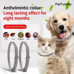 New Releases Dog Collar,Cat Anti-flea and Tick Collars, Pet 8Months Protection, Can Be Automatically Adjusted, Dogs Accessories