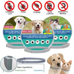 New Releases Dog Collar,Cat Anti-flea and Tick Collars, Pet 8Months Protection, Can Be Automatically Adjusted, Dogs Accessories