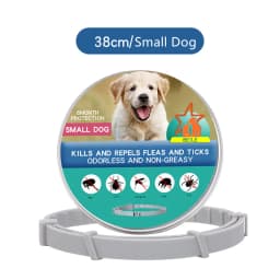 New Releases Dog Collar,Cat Anti-flea and Tick Collars, Pet 8Months Protection, Can Be Automatically Adjusted, Dogs Accessories