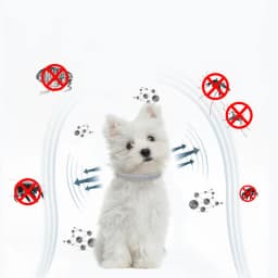 New Releases Dog Collar,Cat Anti-flea and Tick Collars, Pet 8Months Protection, Can Be Automatically Adjusted, Dogs Accessories