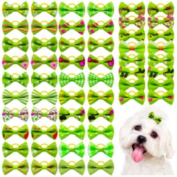 30PCS Pet Dog Cat Puppy Grooming Bows Pet Hair Accessories Decorate Hair for Small Dog Hair Rubber Band Dog Supplier