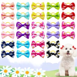 30PCS Pet Dog Cat Puppy Grooming Bows Pet Hair Accessories Decorate Hair for Small Dog Hair Rubber Band Dog Supplier