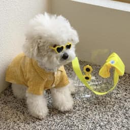 New Love Pet Glasses for Dog Cat Cute Creative Fashion Sunglasses with Jewelry Pet Beauty Decoration Supplies