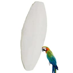 New 10pcs/set Birds Cuttlebone Parrot Chewing Cuttle Bone for Sharp Beaks Cuttle Bone for Parakeets Budgies Cockatiels Etc