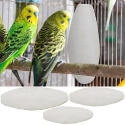 New 10pcs/set Birds Cuttlebone Parrot Chewing Cuttle Bone for Sharp Beaks Cuttle Bone for Parakeets Budgies Cockatiels Etc