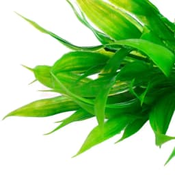 15cm Artificial Aquarium Decor Plants Water Weeds Ornament Aquatic Plant Fish Tank Grass Decoration Accessories