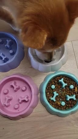 Square Pet Slow Feeding Cat Bowl Anti-choking Dog Puzzle Food Bowl Water Basin Anti-Overturning Cat Feeding Drinking Container