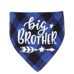 Big Brother Plaid Dog Bandana Pregnancy Announcement Dog Bandana Gender Reveal Photo Prop Pet Scarf Accessories Pet Scarves