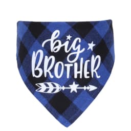 Big Brother Plaid Dog Bandana Pregnancy Announcement Dog Bandana Gender Reveal Photo Prop Pet Scarf Accessories Pet Scarves