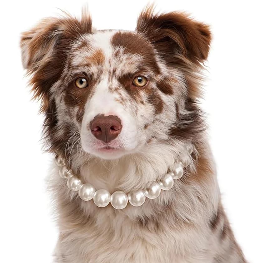 Luxury Dog Pearl Necklace Jewelry Accessories with Stainless Steel Wire, Adjustable Elegant Pet Pearl Collar for Medium Large D
