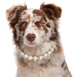 Luxury Dog Pearl Necklace Jewelry Accessories with Stainless Steel Wire, Adjustable Elegant Pet Pearl Collar for Medium Large D