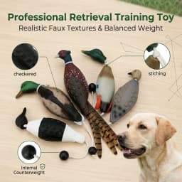 Pet Dog Training Fake Duck The Bird Dummy Teaches Mallard Waterfowl Game Retrieval Duck Bite Chewing Toys Perfect Size For All