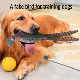 Pet Dog Training Fake Duck The Bird Dummy Teaches Mallard Waterfowl Game Retrieval Duck Bite Chewing Toys Perfect Size For All