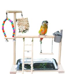 Bird Playground Perch Stand Feeding Cups Swing Climbing Ladder Parrot Playstand Exercise Playgym For Parakeet Cockatiel Lovebi