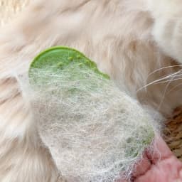 Pet Cat Hair Removal Massage Comb Cats Scratching Rubbing Brush Kitten Grooming Self Cleaning Wall Corner Cat Scratcher Combs