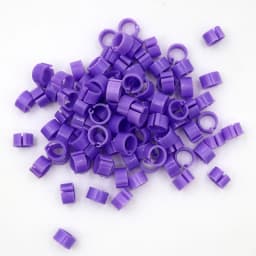 100Pcs Birds Pigeon Foot Rings Small Poultry Foot Ring 10 Colors Plastic Dove Clip Quail Pigeon Foot Ring Pet Bird Supplies