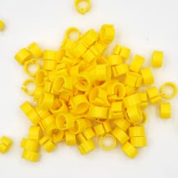 100Pcs Birds Pigeon Foot Rings Small Poultry Foot Ring 10 Colors Plastic Dove Clip Quail Pigeon Foot Ring Pet Bird Supplies