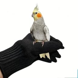 Bird Training Anti-Bite Gloves Small Animal Handling Wire Gloves Chewing Protective Gloves for Parrot Squirrels Hamster Hedgehog