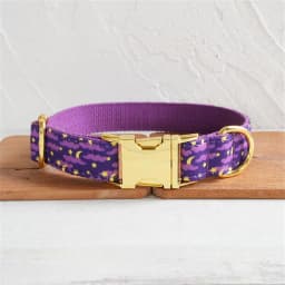 Personalized Dog Collar with Free Engraving, Matching Pet Leash,Customzied Contacts Metal Buckle, Purple Moonlit Night Collar