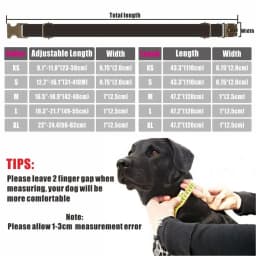 Personalized Dog Collar with Free Engraving, Matching Pet Leash,Customzied Contacts Metal Buckle, Purple Moonlit Night Collar