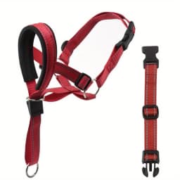 2-Pack Adjustable Nylon Dog Headgear with Reinforced Stitching–Leader Halter with Safety Strap for Training and Pull-Free Walks