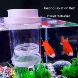 Plastic Floating Fish Breeding Isolation Box Aquarium Breeder Feeder Hatching Incubator Aquarium Hatchery Accessory
