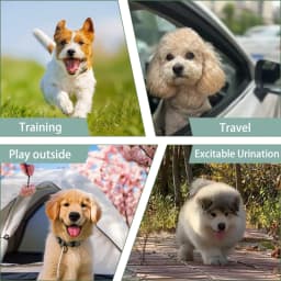 1PC Reusable Female Dog Diapers Washable Female Dog Physiology Pants Breathable Pants with Snaps on the Belly for Pet Diapers