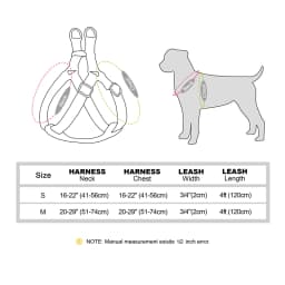 Custom PU Leather Harness And Leash Engraved Dog ID Buckle Harnesses Vest Pet Leading Rope Durable For Small Medium Dogs Bulldog