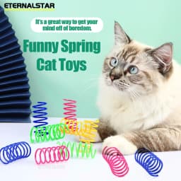 Durable Colorful Spiral Coil Cat Spring Toy Interactive Durable Gauge Kitten Plaything for Indoor Hunting Pet Supplies 5/200 Pcs