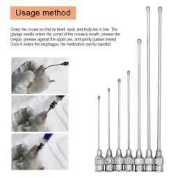 Pet Feeding Syringe Poultry Feeding Medicine Needle Tube Stainless Steel Straight Needle Cats Dogs Hamsters Feed Water Needles
