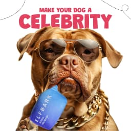 Funny Dog Toys with Squeaker - Funny Cute Parody Dog Toys - Puppy and Dog Toys for Small, Medium and Large Dogs