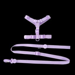 Adjustable Dog Harness Collar Leash Set Macarone Color, Reflective Small Dog Accessories for Puppy & Cat Supplies, Pet Walking