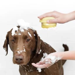Pet Silicone Bath Foaming Massage Brush Bathroom Multifunctional Puppy Big Dog Cat Soft Safety Accessories for Dogs Cats Tools