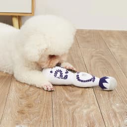 Funny Tequila Dog Toy Boujee Plush Dog Toy With Squeaker Interactive Games For Dogs Birthday Toy Pet Accessories