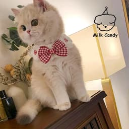 Red and Black Checkered Houndstooth Pet Collar Bib Water Towel Knitted Collar Decoration Used for Small Pets Bow Tie Accessories