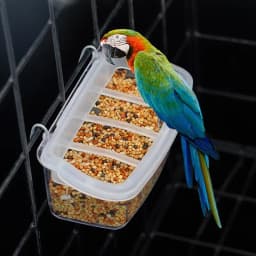 Parrot Pigeon Feeder Chicken Hanging Feeder Drinker Supplies Water Box Pet Chicks Quail Duck Bird Poultry Plastic Food Container