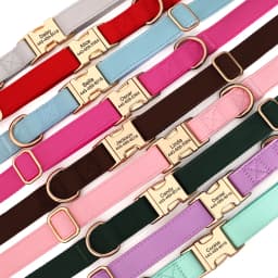 Personalized PU Leather Dog Collar Free Engraved Pet Collars Customized ID Name Necklace For Small Medium Large Dogs 9 Colors