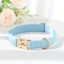 Personalized PU Leather Dog Collar Free Engraved Pet Collars Customized ID Name Necklace For Small Medium Large Dogs 9 Colors