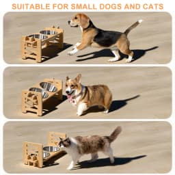 Elevated Small Toy Dog Cat Bowls Tilted Adjustable Puppy Feeder Stand with 2 Stainless Steel Bowls for Puppies Cats Accessories