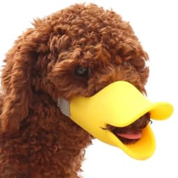 1pc Small Pet Dog Muzzle Silicone Mask Dog Duck Muzzle Anti-bite Anti-Eating Anti-Barking Muzzle Dog Accessories Supplies