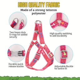 A Colorful Bone Tripod Pet Dog Harness for Indoor and Outdoor Use Colorful Bone Dog Leash When Taking A Pet for A Walk
