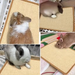 Rabbit Chew & Scratch Mat - Natural Fiber Anti-Slip Pad | Cage Bedding & Teeth Care | Small Pet Sleep & Play