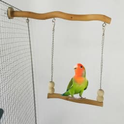 Natural Wood Pet Parrot Toy Bird Swing Exercise Climbing Standing Wooden Toys Pet Parrot Macaw Hammock Bird Toy