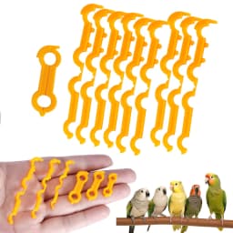 4/5/6mm Parrot Leg Corrector Nestling Leg Splint Rutin Chicken Budgie Cockatiel Eight Character Correction Ring Bird Supplies